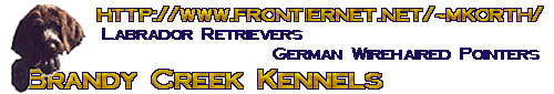 Brandy Creek Kennels Banner