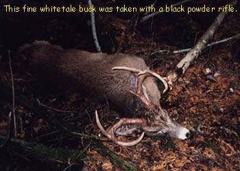 Buck taken with black powder rifle.