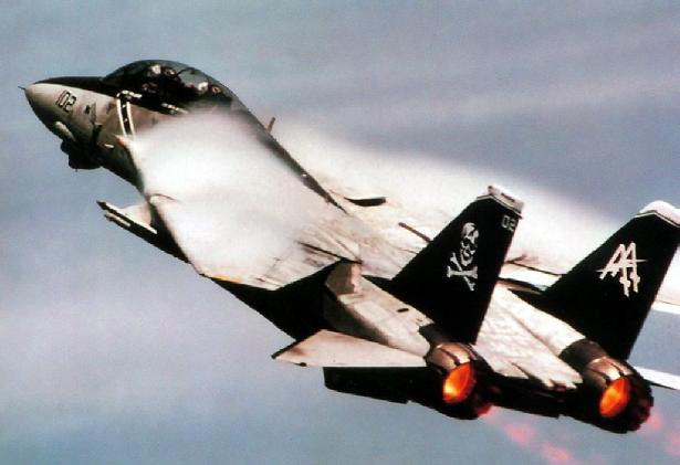 F14%20Tomcat%20afterburners-%20Jolly%20Rogers.JPG