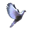 logor.gif (5979 bytes)