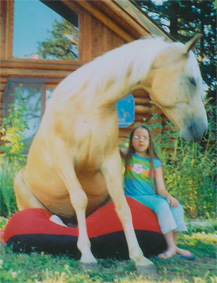 Francisco sitting on beanbag