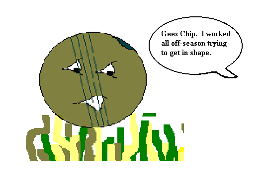 chippy