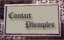Contact Plumples