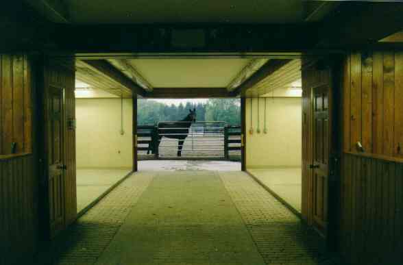 Barn 2 Stallion Turnout