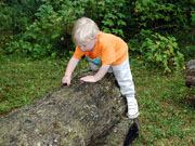 Will: Will on firepit bench