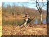 Copy of deer at lake.jpg (75997 bytes)