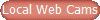 Local Web Cams