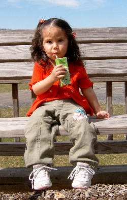 At the park playground by Cheat Lake