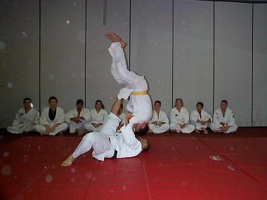 kyoshin jitsu logo