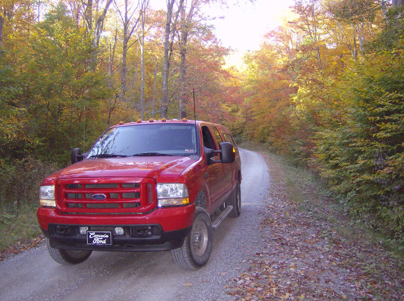 F250Leaves-11.JPG