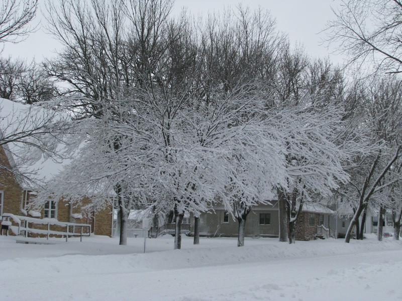 [Image: IMG_6272.JPG]
