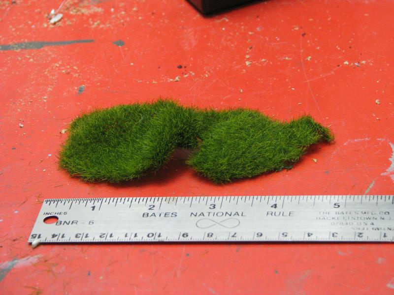 [Image: grass4.JPG]