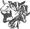 ADGA.gif (27875 bytes)