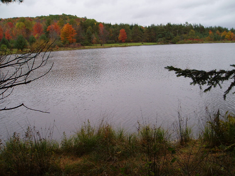 image19
