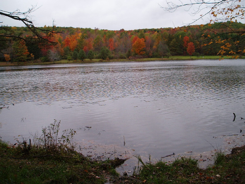 image22
