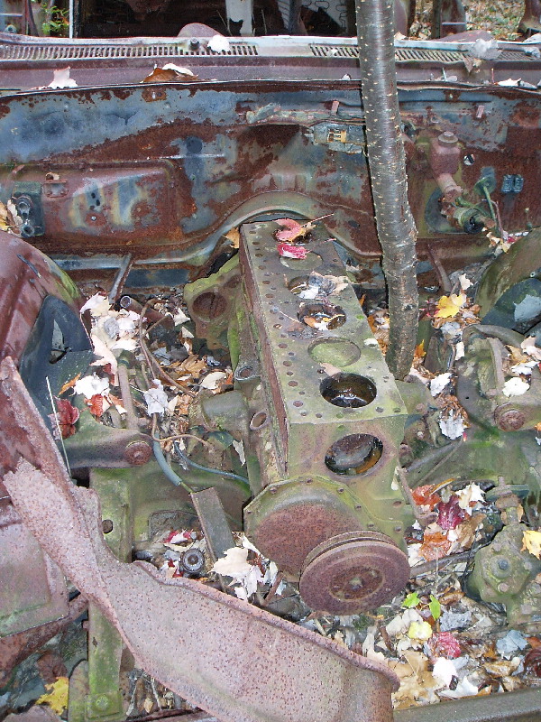image4