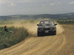 [John Werner Rallying]