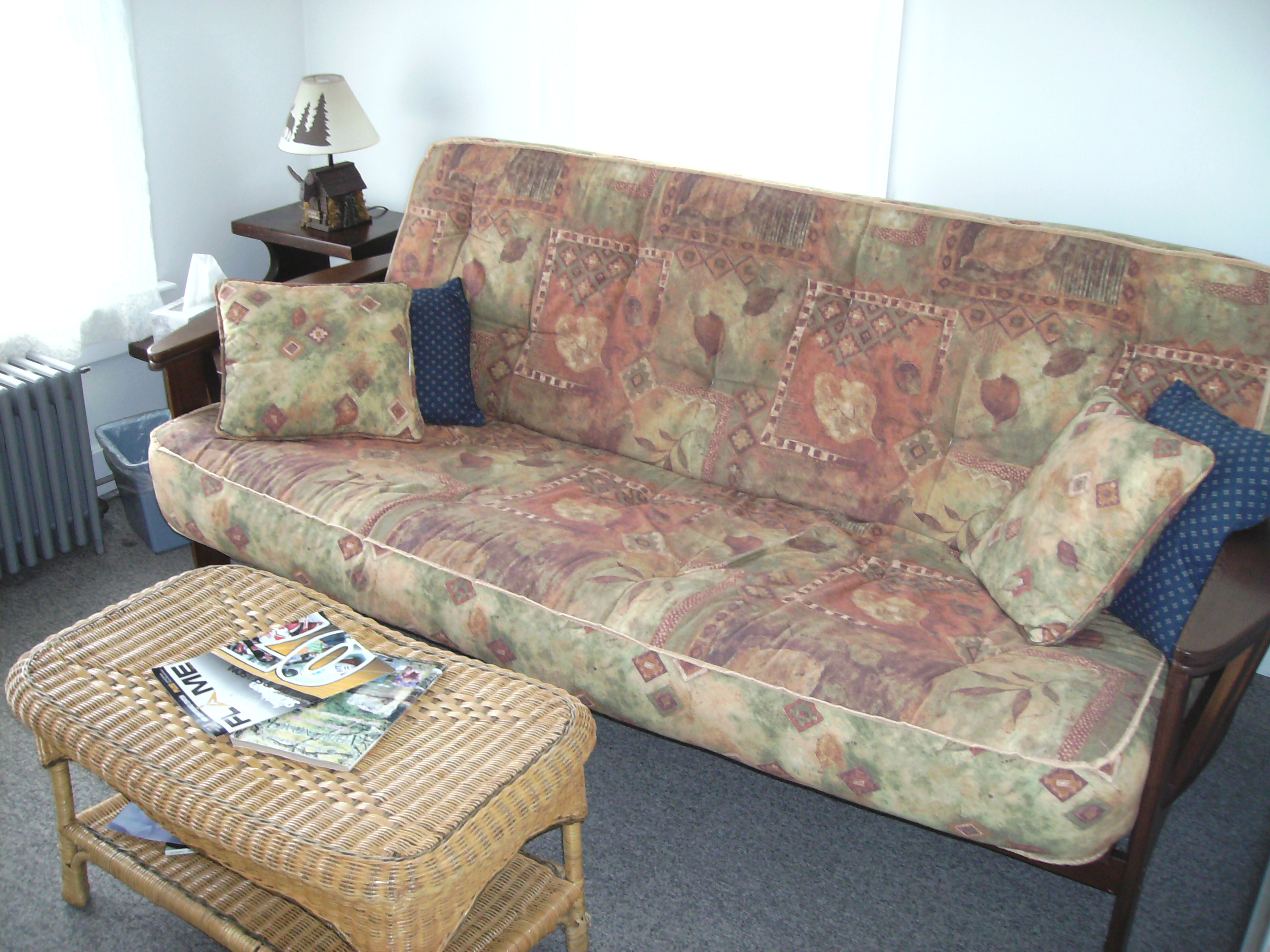 TV Room with double futon