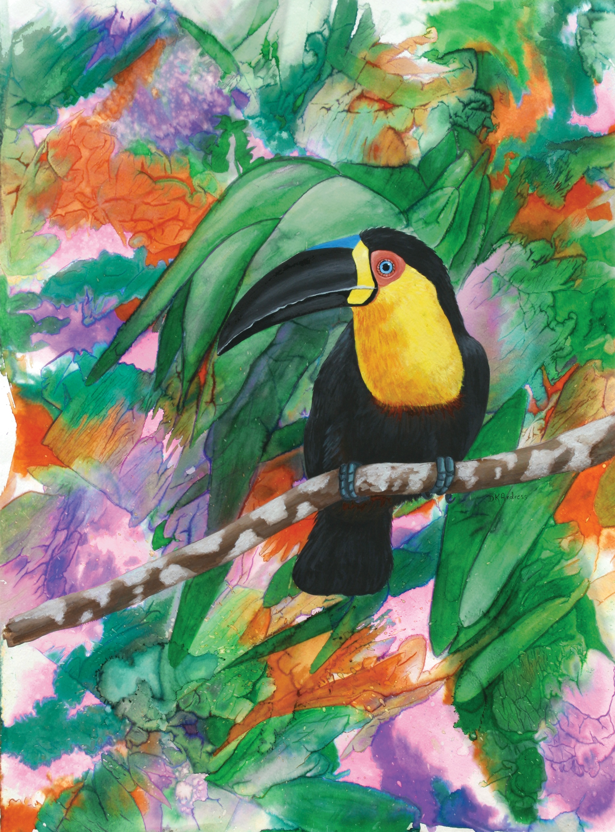 Toucan