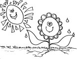 Sun flower Coloring Sheet