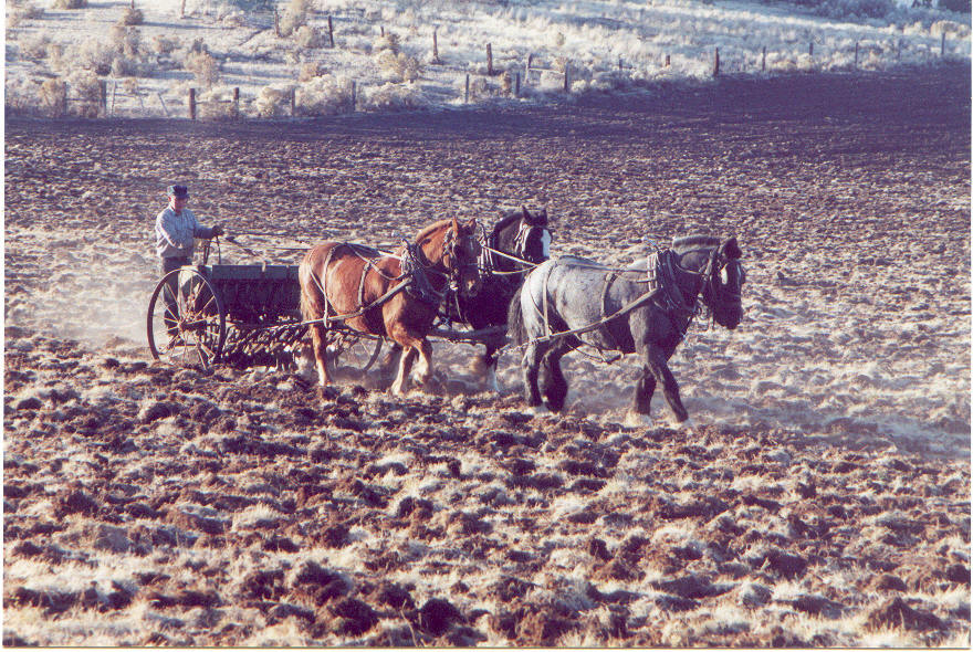 Modoc County