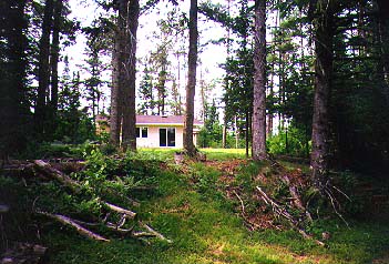 The cabin in spring